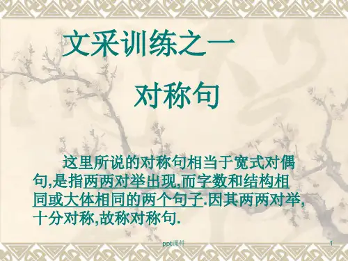 对称句训练(实用)  ppt课件