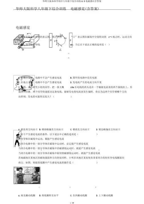 华师大版本科学初中八年级下综合训练5.3电磁感应含答案