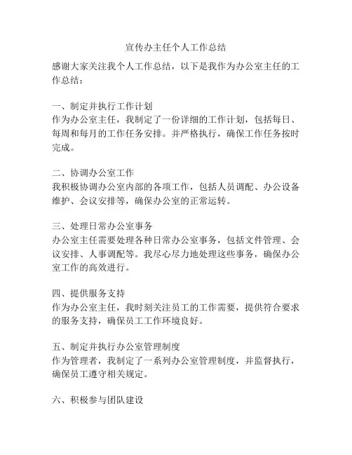 宣传办主任个人工作总结