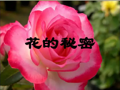 选读(花的秘密)课件(苏教版)