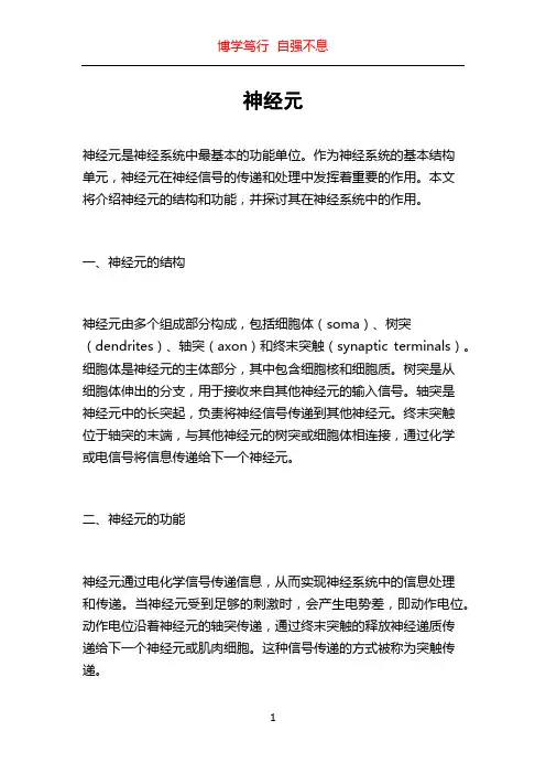 神经元_精品文档