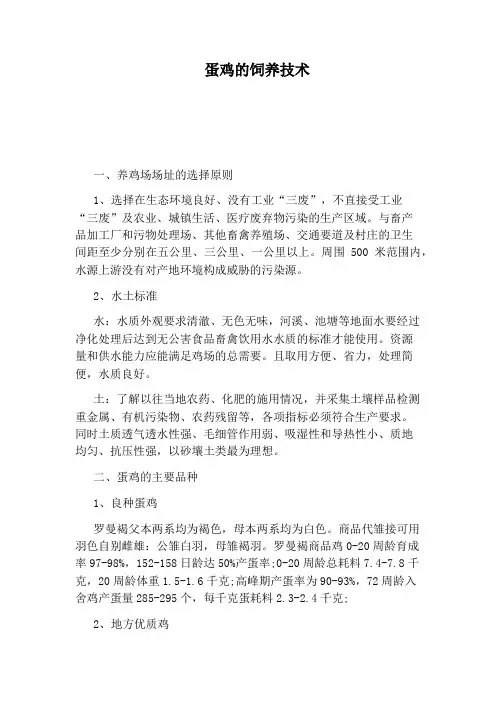 蛋鸡的饲养技术