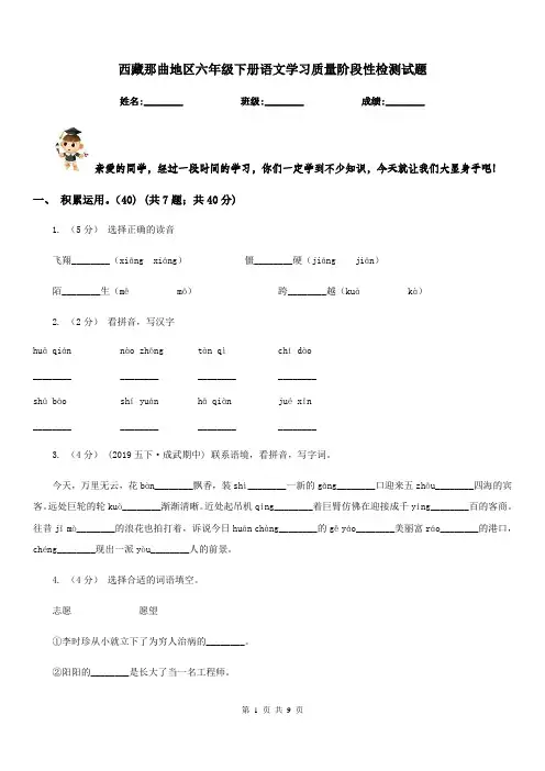 西藏那曲地区六年级下册语文学习质量阶段性检测试题