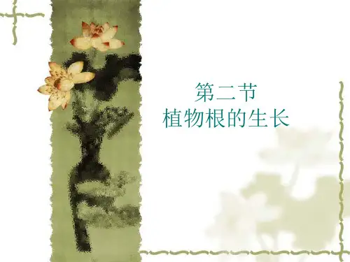 三年级下册科学课件-1.4《种子变成了幼苗》 ｜教科版  (共17张PPT)
