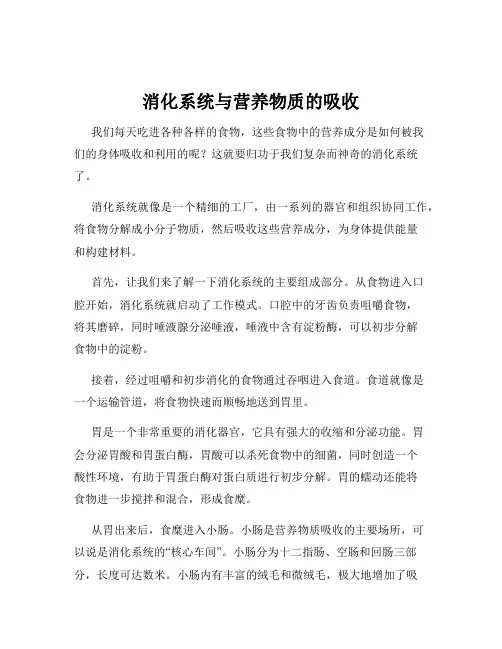 消化系统与营养物质的吸收