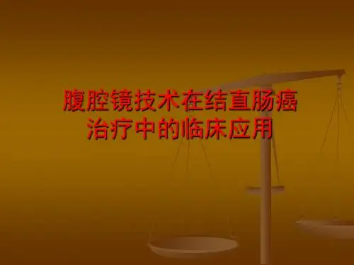 改良腹腔镜结肠癌根治术 PPT课件