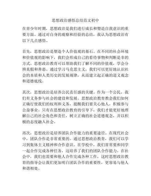 思想政治感悟总结范文初中