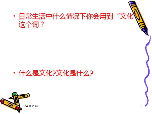 教育文化学概述新优秀课件