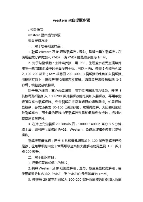 western蛋白提取步骤