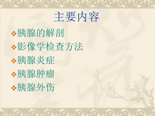 胰腺疾病的CT诊断PPT课件