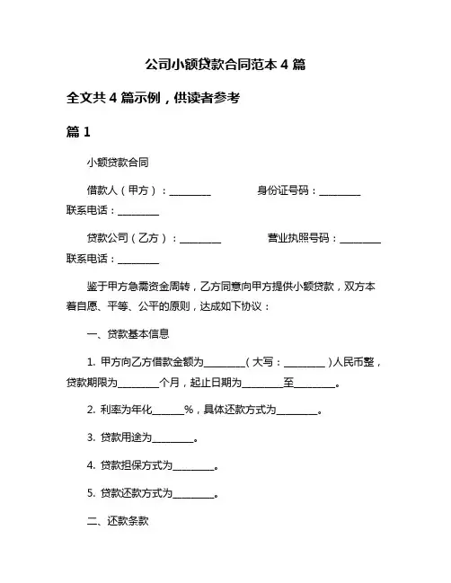 公司小额贷款合同范本4篇