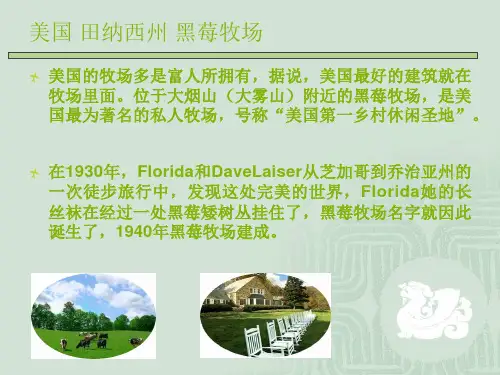 休闲观光国外案例——黑莓