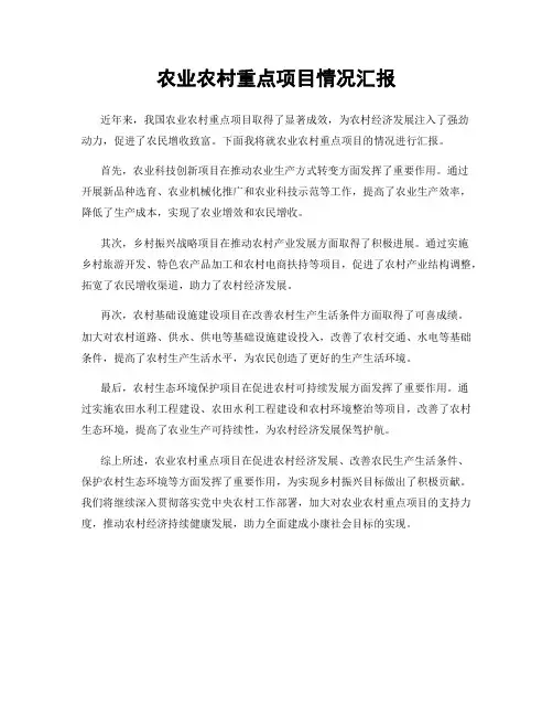 农业农村重点项目情况汇报