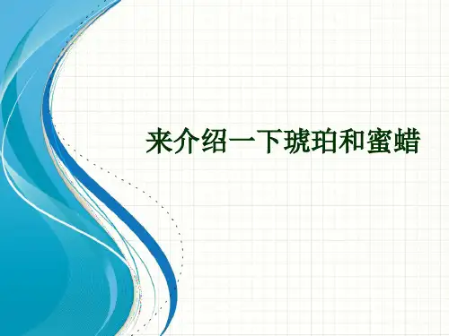 来介绍一下琥珀和蜜蜡