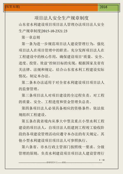 项目法人安全生产规章制度