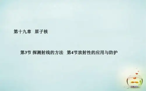 理 第19章 第3、4节 探测射线的方法 放射性的应用与防护课件 新人教版选修3-5【精品课件】