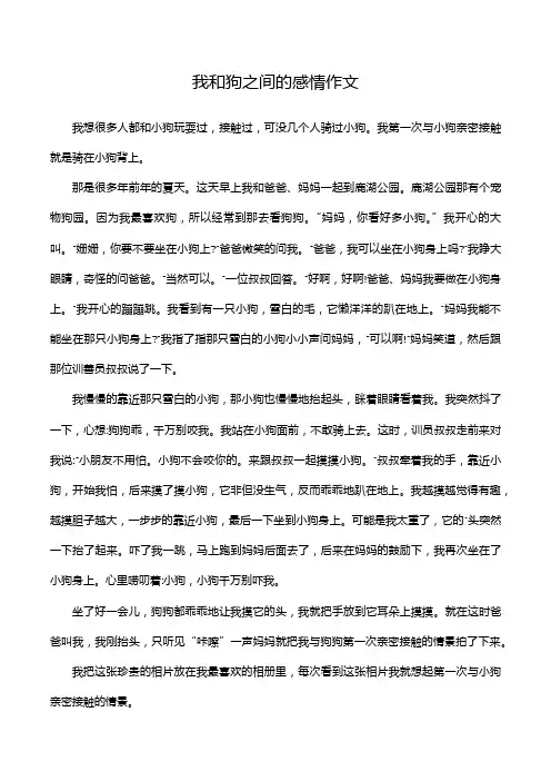 我和狗之间的感情作文