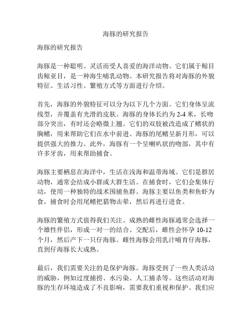 海豚的研究报告
