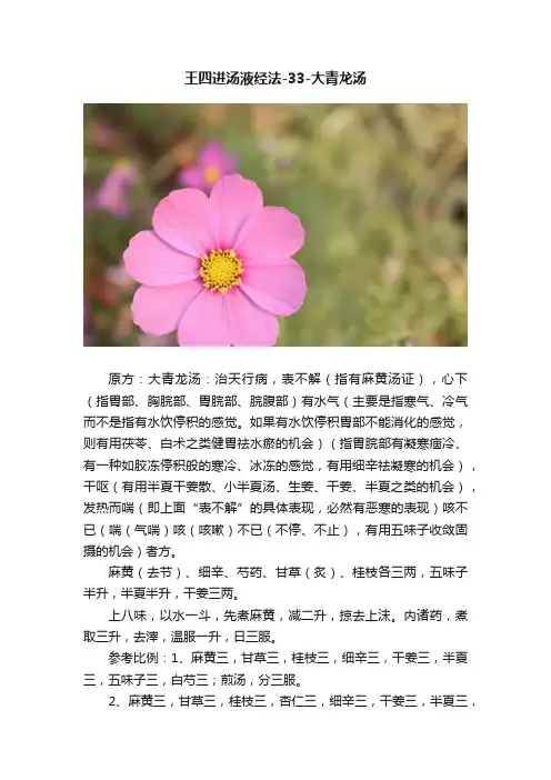 王四进汤液经法-33-大青龙汤