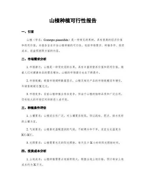 山楂种植可行性报告