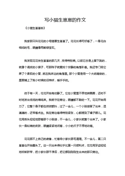 写小猫生崽崽的作文