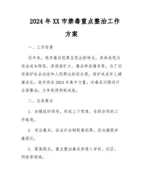 2024年XX市禁毒重点整治工作方案