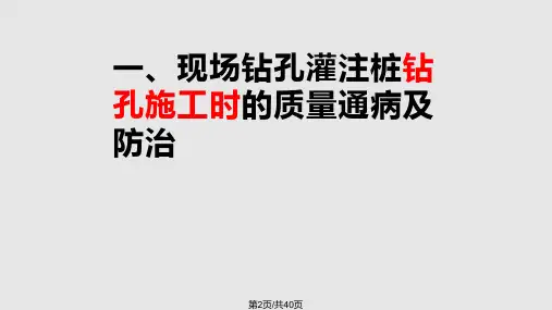 钻孔灌注桩质量通病与防治.pptx