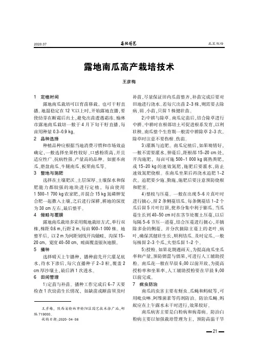 露地南瓜高产栽培技术