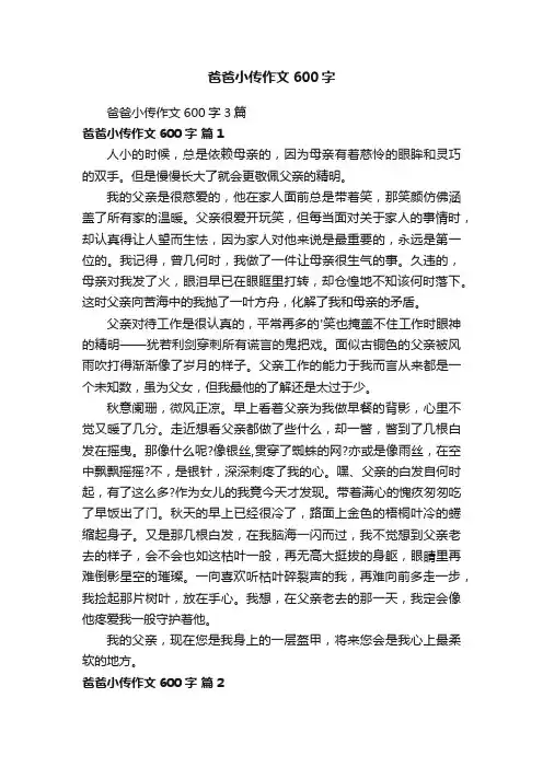 爸爸小传作文600字3篇