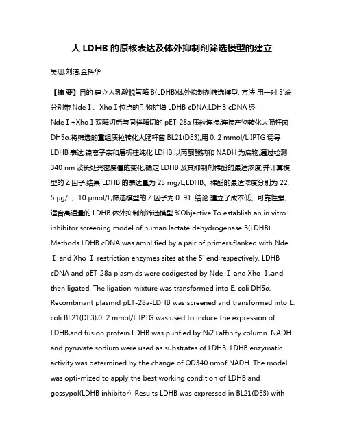 人LDHB的原核表达及体外抑制剂筛选模型的建立