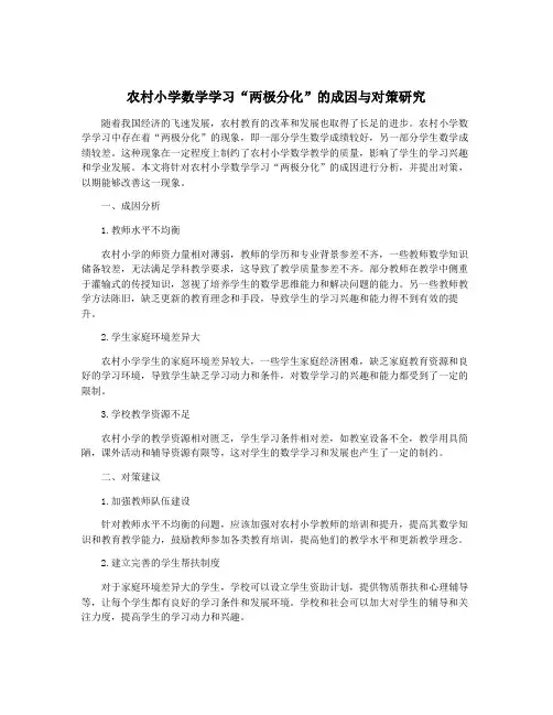 农村小学数学学习“两极分化”的成因与对策研究