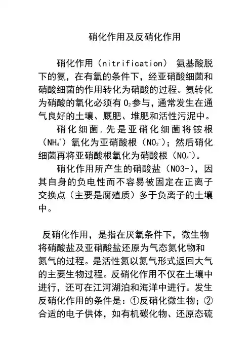 硝化作用及反硝化作用
