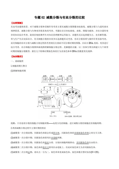 一轮复习专题02 减数分裂与有丝分裂的比较(解析版)