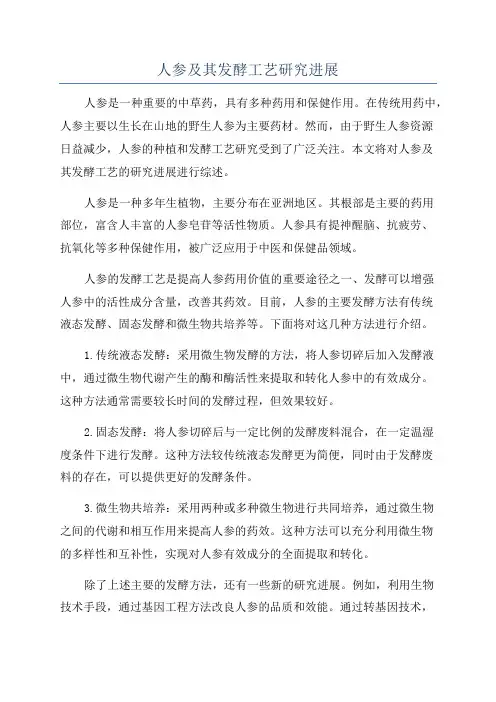 人参及其发酵工艺研究进展