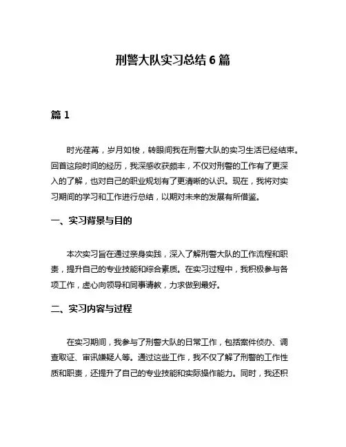 刑警大队实习总结6篇