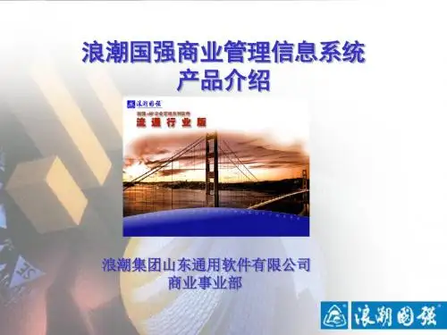 商业MIS介绍