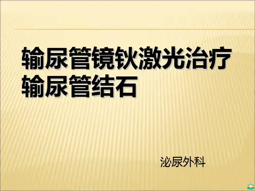 输尿管镜钬激光治疗输尿管结石PPT课件