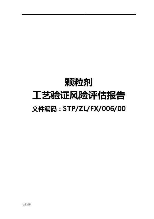 颗粒剂工艺验证风险评估报告