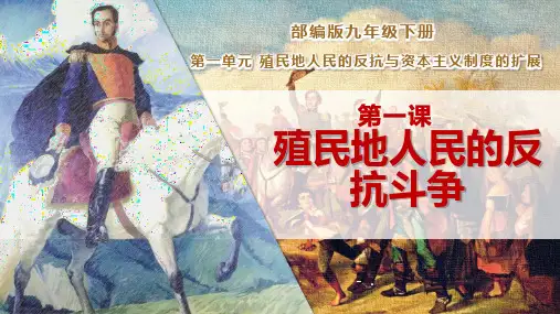 《殖民地人民的反抗斗争》PPT课件