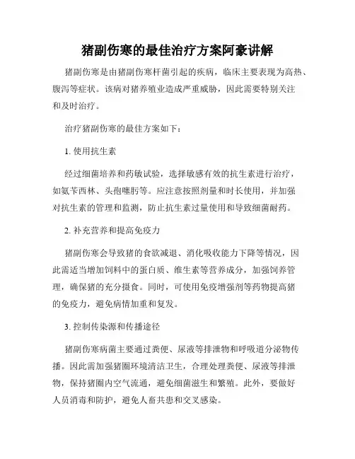 猪副伤寒的最佳治疗方案阿豪讲解