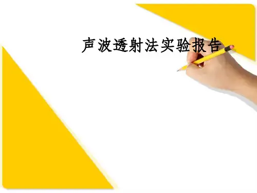 声波透射法实验报告ppt课件