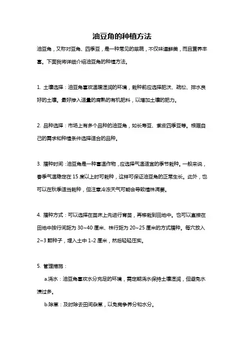油豆角的种植方法