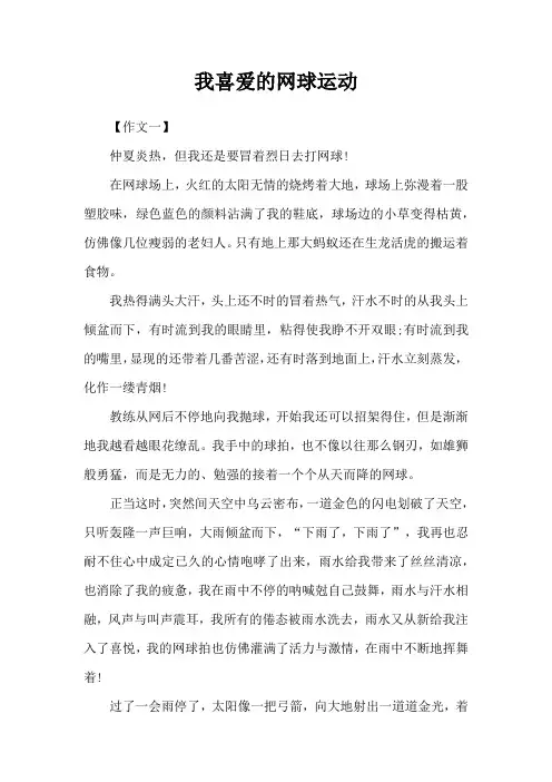 我喜爱的网球运动