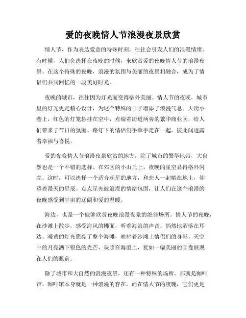 爱的夜晚情人节浪漫夜景欣赏