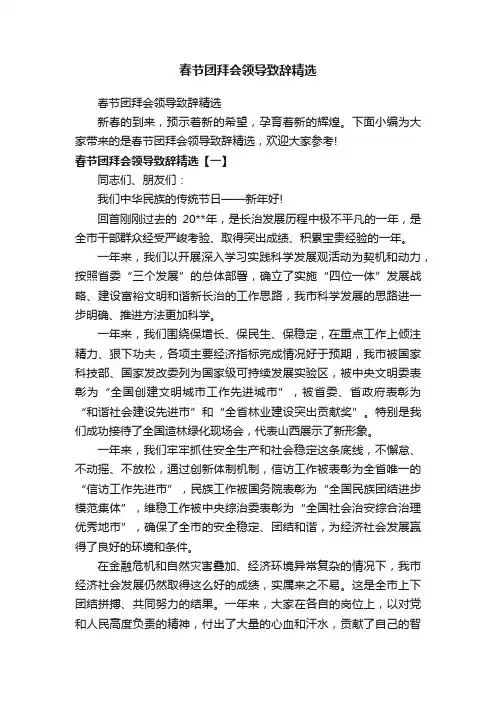 春节团拜会领导致辞精选