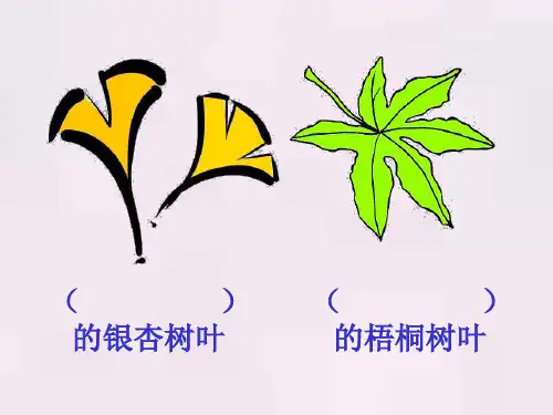 人教版小学语文二年级上册19《蓝色的树叶》 PPT课件 图文
