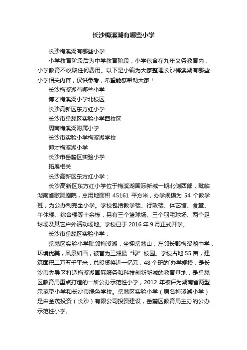 长沙梅溪湖有哪些小学