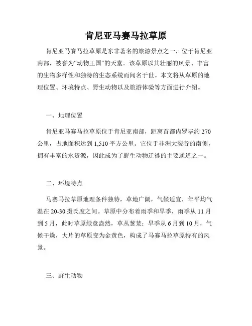 肯尼亚马赛马拉草原
