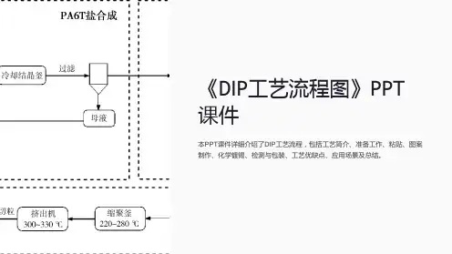 《DIP工艺流程图》课件