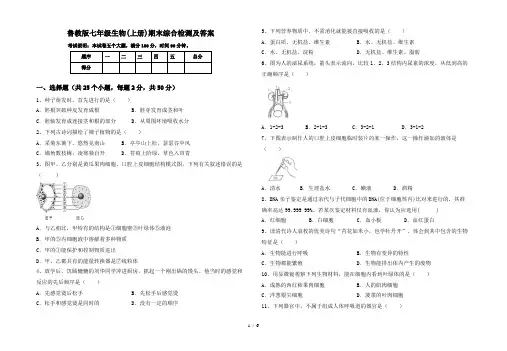 鲁教版七年级生物(上册)期末综合检测及答案